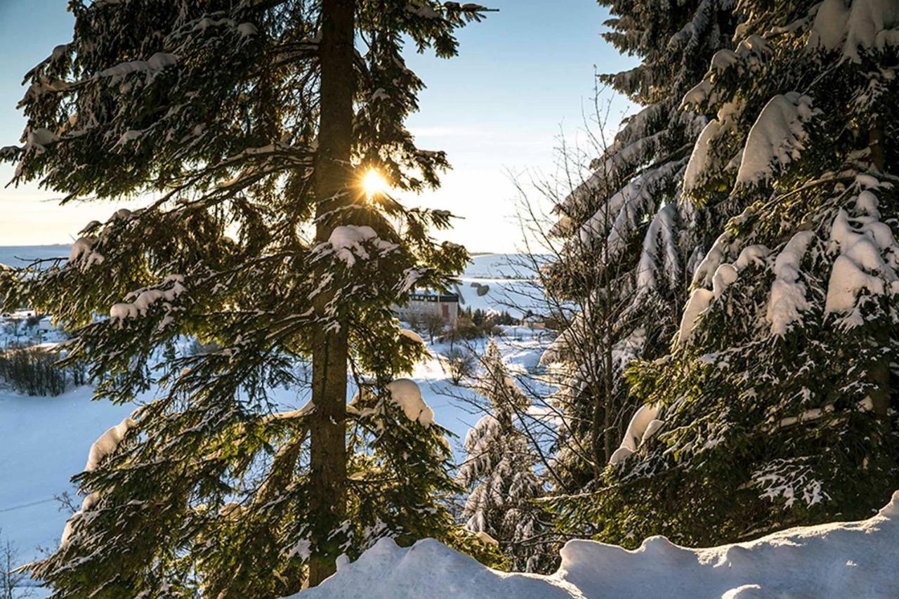 Pension Und Gaststaette Naturbaude Eschenhof Oberwiesenthal Ngoại thất bức ảnh