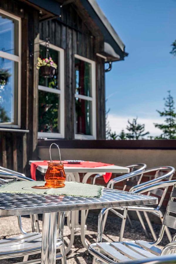 Pension Und Gaststaette Naturbaude Eschenhof Oberwiesenthal Ngoại thất bức ảnh