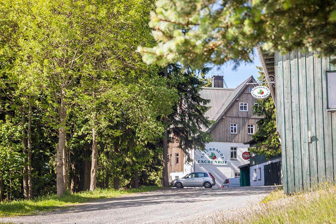 Pension Und Gaststaette Naturbaude Eschenhof Oberwiesenthal Ngoại thất bức ảnh