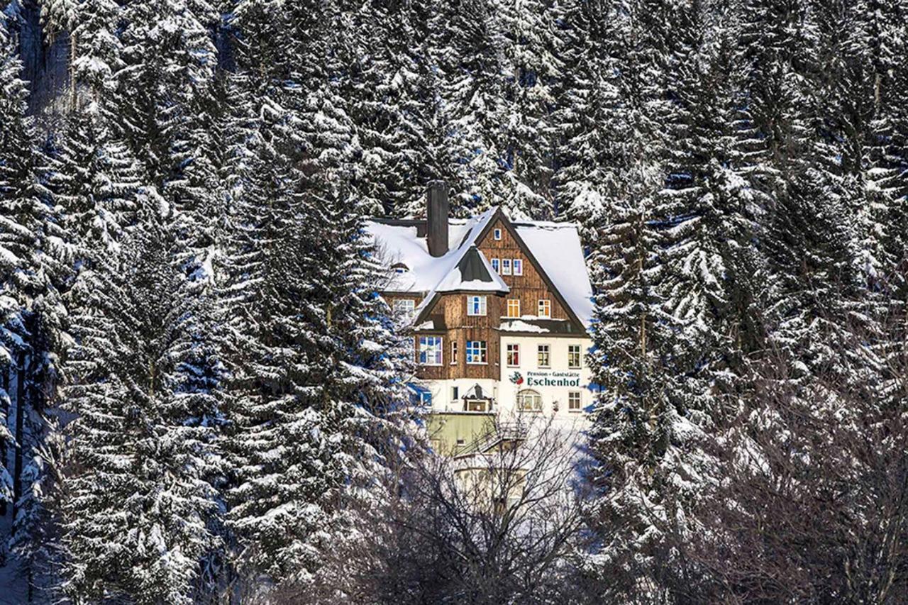 Pension Und Gaststaette Naturbaude Eschenhof Oberwiesenthal Ngoại thất bức ảnh